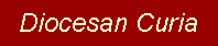 Diocesan Curia