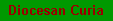 Diocesan Curia
